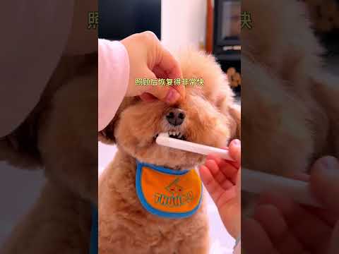 14岁布丁又闯关成功！继续加油！ #安静的布丁妹妹