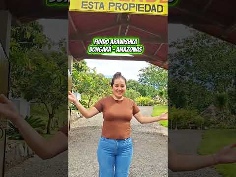 👉 Fundo en venta en Amazonas – Ideal para