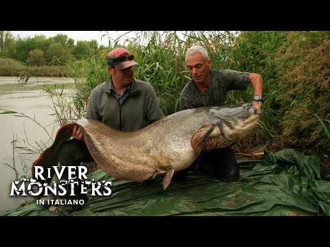 il Mangiatore di Uomini - PESCE SILURO - River Monsters ITA - S01E03