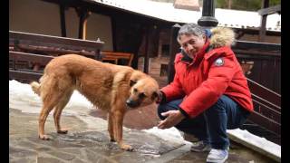 SILVIU PANCU ,,CHANGING TIMES &#39;&#39; -CHRIS REA