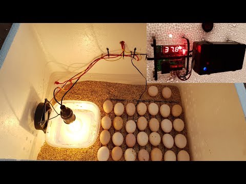 , title : 'How to make a Hatching Egg Incubator at home'