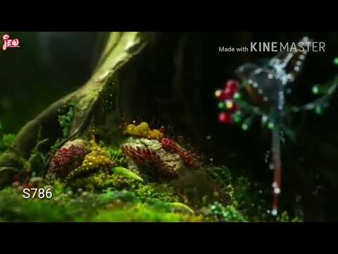 download lagu mp3 mp4 Bird Flute Ringtone Mp3, download lagu Bird Flute Ringtone Mp3 gratis, unduh video klip Bird Flute Ringtone Mp3