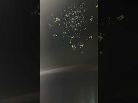 N.J. shooting victim remembered during balloon release