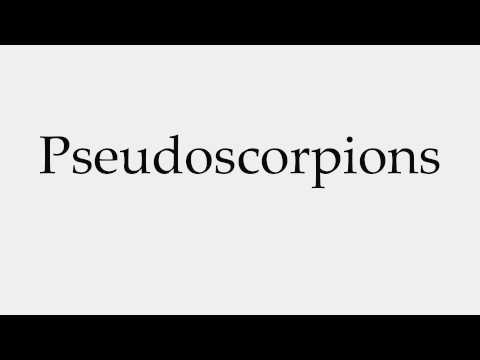 How to Pronounce Pseudoscorpions