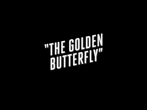 L.A Noire The Golden Butterfly. 5 Star. All Clues & Answers