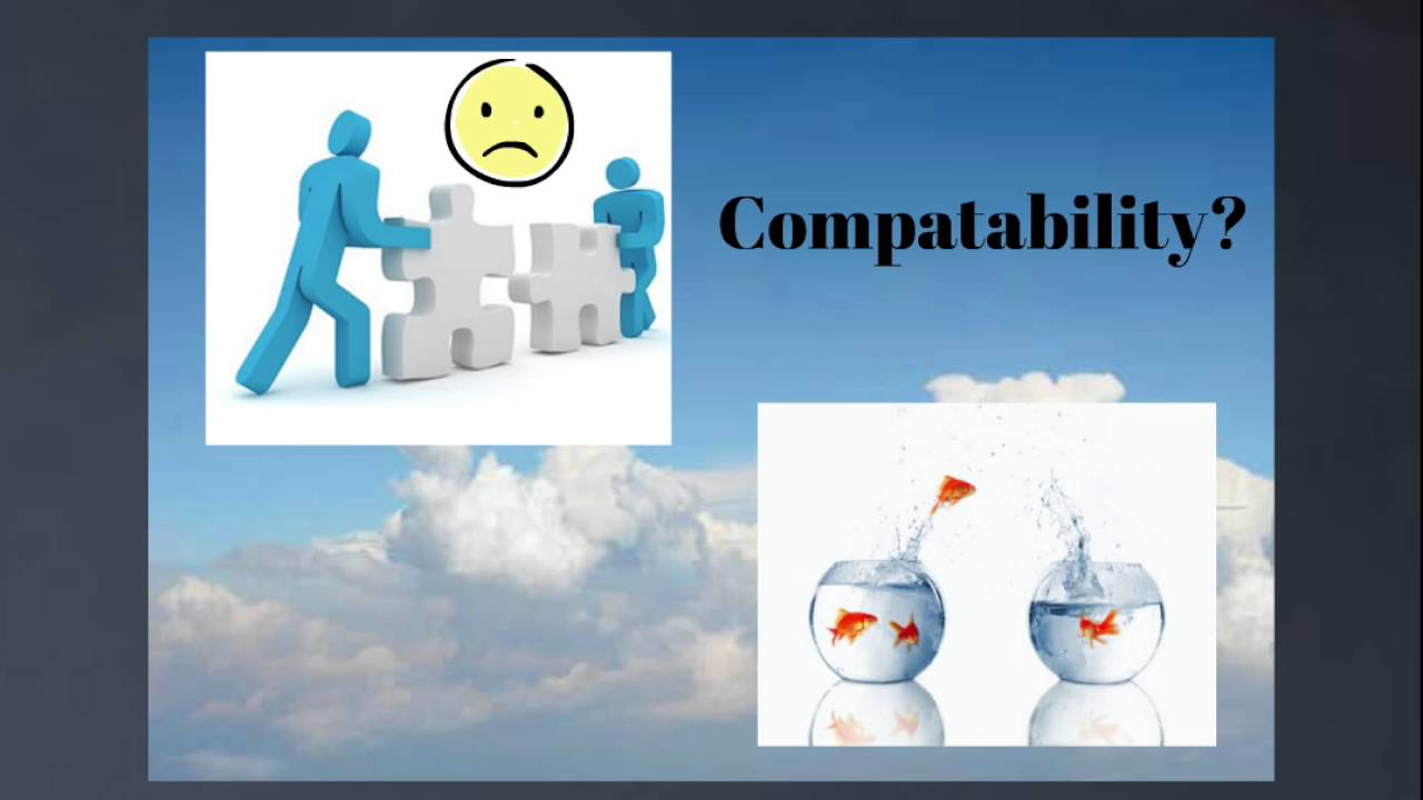 Presentation: Server Virtualization Technology