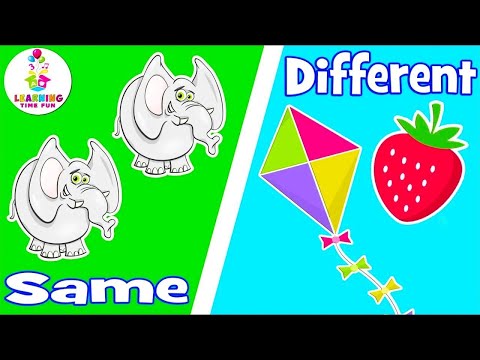 SAME and DIFFERENT for Kids! (Compare and Contrast OPPOSITE Words) | Toddler Learning Videos