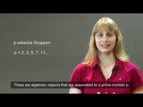 Friedrich Hirzebruch Dissertation Prize 2018 – Jessica Fintzen (English Version)