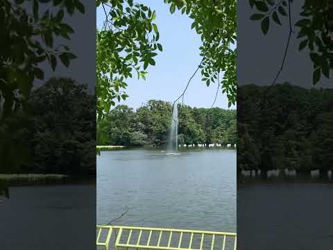 テラスと庭園: プール、噴水、滝をお選びください  庭園