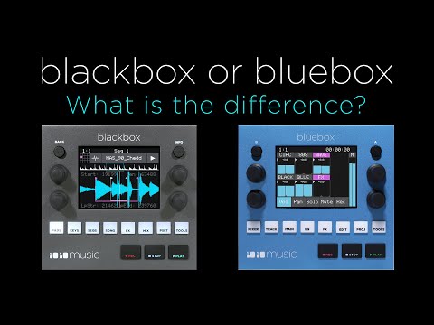 Video ID GdwiAMDzUsg