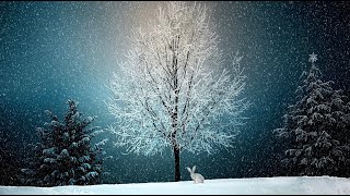 Honky Tonk Christmas Eve (Episode 49)