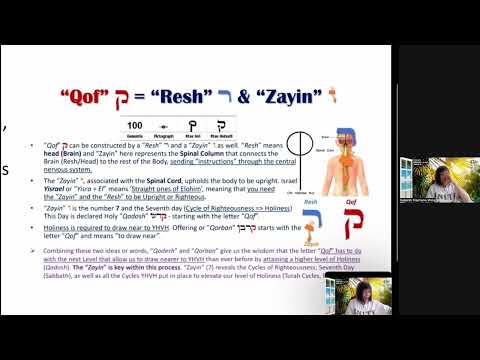 THE 19TH HEBREW ALPHABET "QOF" REVEALED IN PSALM 119 [F05S19]
