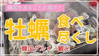 【韓国/保寧(ボリョン)】牡蠣団地で牡蠣を食す！(蒸し牡蠣、牡蠣釜飯、ラーメン、カルグクス)/カフェ☕/夕日🌇