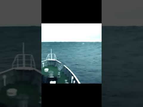 🥶 😱 😨 Live footage of Tsunami , ship goes over Tsunami 🥶 😱 😨| Viral Vidz