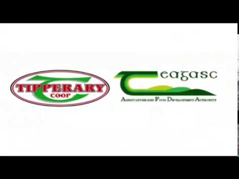 Solohead research farm May 2020 update