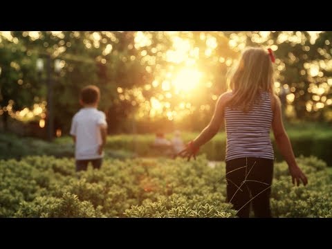 download lagu mp3 mp4 MPV We Are Love feat Blex, download lagu MPV We Are Love feat Blex gratis, unduh video klip MPV We Are Love feat Blex