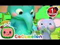 Don T Forget To Catch Your Sneeze CoComelon Nursery Rhymes Kids Songs