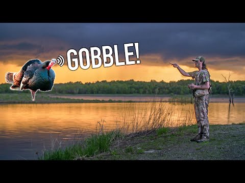 3 TIPS to FIND TURKEYS!