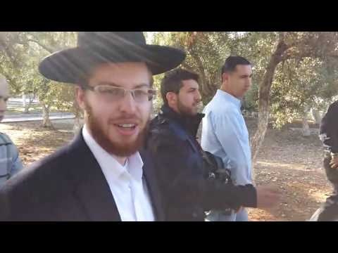 מלך המשיח יתגלה בקרוב ממש 2017 MEIRSEB