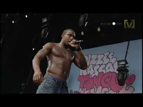 Dizzee Rascal - Bonkers (Live at Sydney, Big Day Out 2010) [HD]
