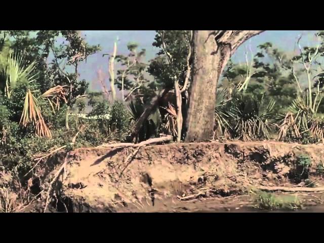 Featurette: "The Story"