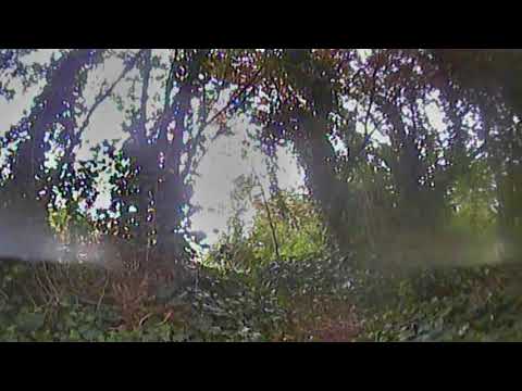 Bush Flight 03-05-2019