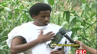 Getsta - The Source of Beauty Raya, Ethiopia