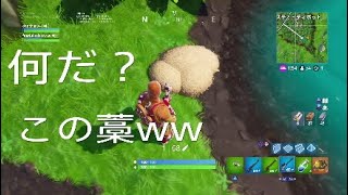 何なんだ？この藁は？ww