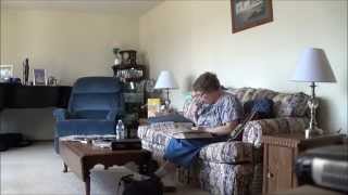 Crossword Lady Adventures: How Not To Pet A Cat