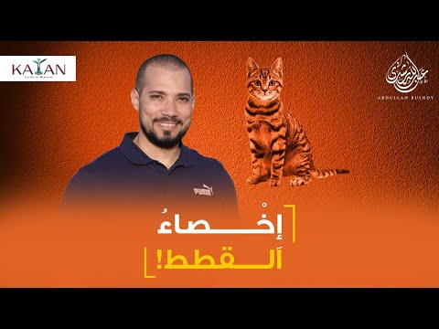حكم تعقيم القطط والكلاب
