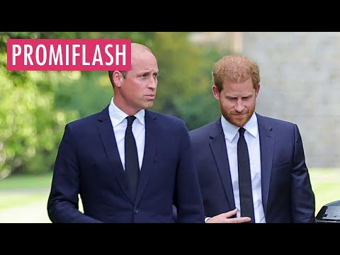 Video Thumbnail: Annäherung? Prinz William gratuliert Harry zum Geburtstag