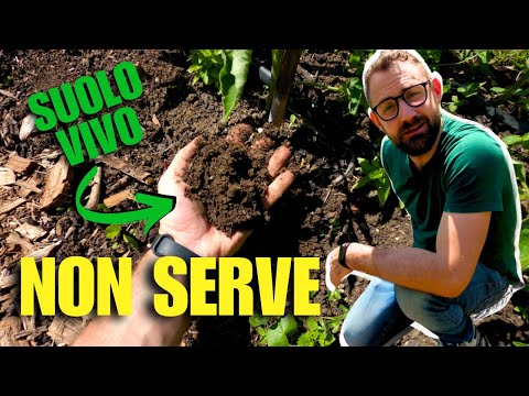 PERCHE' HO SCELTO DI NON ARARE IL MIO TERRENO #nodig #agricolturanaturale #gardeningtips