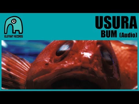 Bum