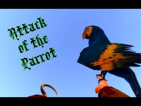 Attack of the Parrot - Pirates, Vikings, and Knights