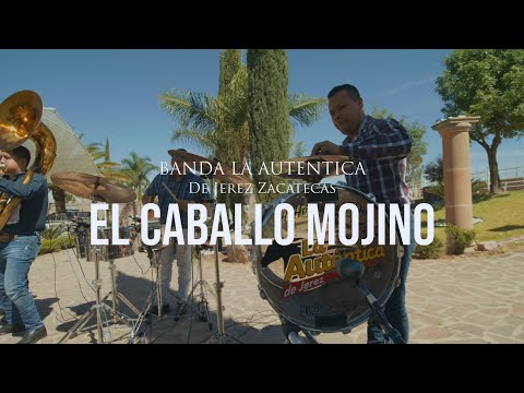 Caballo Mojino (En Vivo) - Banda La Auténtica De Jerez
