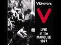 The Vibrators - London Girls (Live)