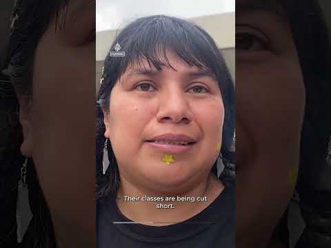 Kites fly over Mexico City in solidarity with Gaza’s children | AJ #shorts