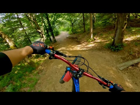 Golovec Trails [Trije bratje, Žabarska, Zmajeva, 9. krog, Nebeška]