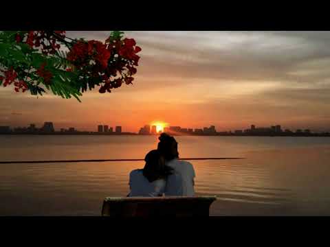 Tình ca không lời Sheet - Trọng Tấn