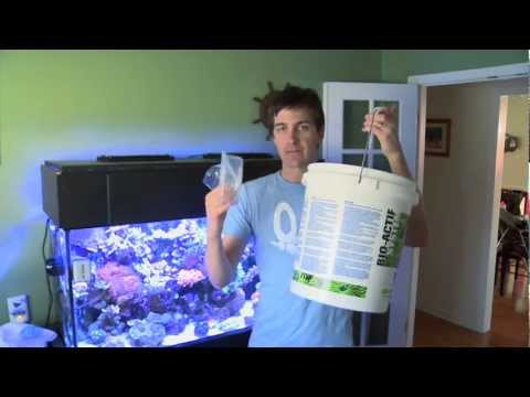 Mr. Saltwater Tank TV Friday Am Quick Tip #66: We're Like Your Shadow: We Should Always Be There