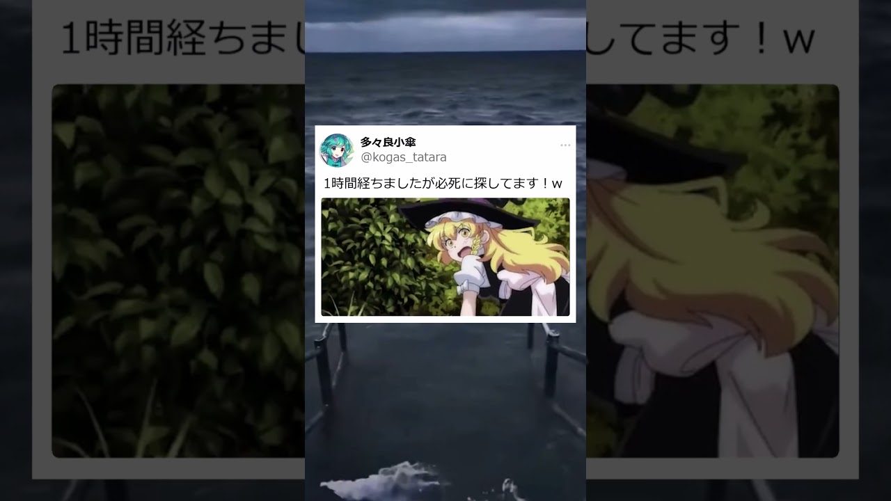 [東方]もしも幻想郷にSNSがあったら #shorts #東方 #東方project