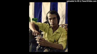 Ando como hormiguita