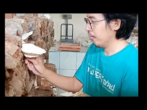 B.O.M _ Valuable Lessons from Nature Based Solution Challenge Wageningen Research and University