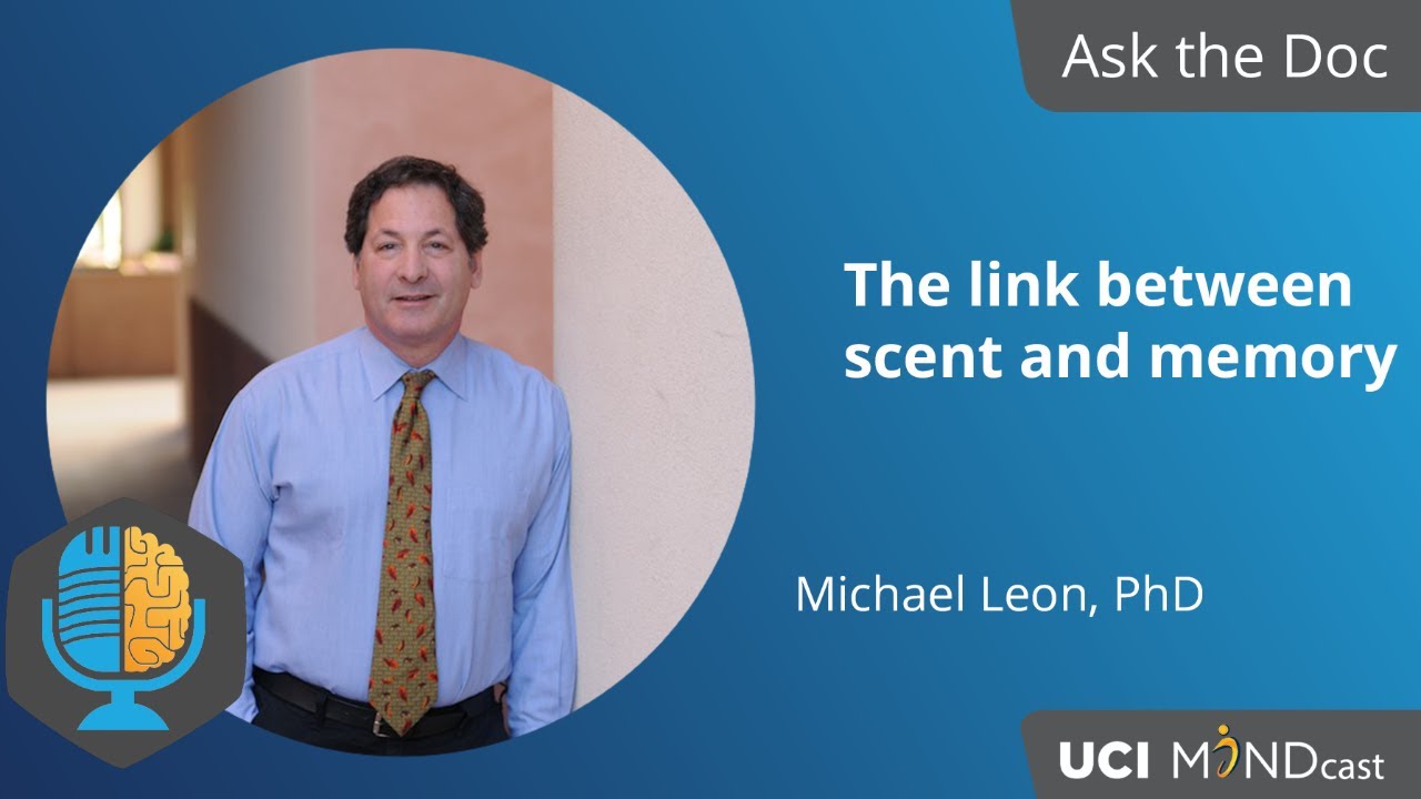 The link between scent and memory