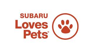 Subaru Loves Pets 2023