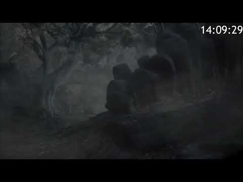 My 24 hour DS run (Part 3)