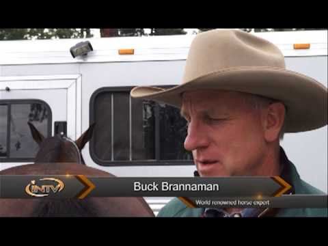 download lagu mp3 mp4 Buck Brannaman Interview, download lagu Buck Brannaman Interview gratis, unduh video klip Buck Brannaman Interview