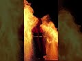 Elf in flames#elf #fire #shorts #shortvideo