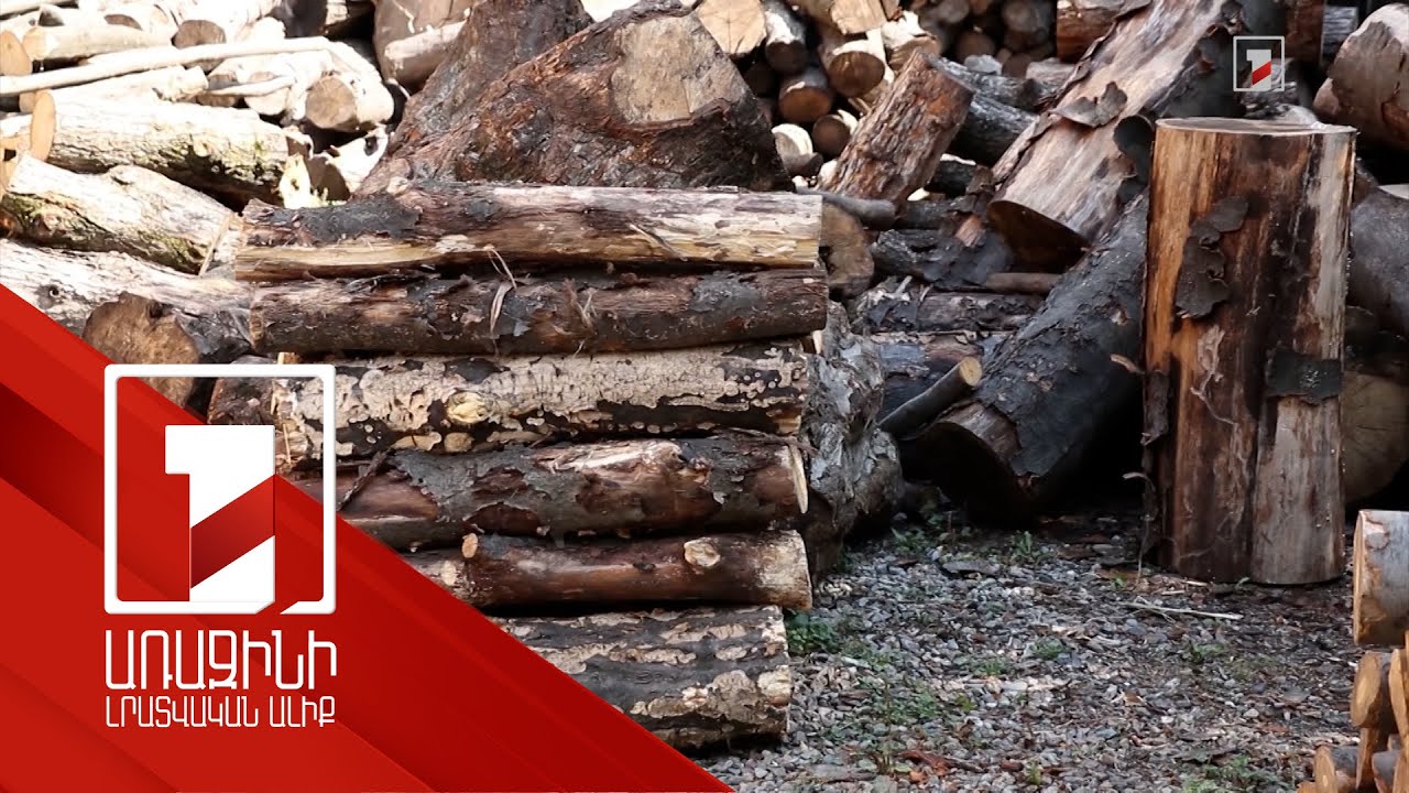 Լոռիում ապօրինի ծառահատման դեպքեր են բացահայտվել. անտառտնտեսության տնօրենը կաշառք է ստացել