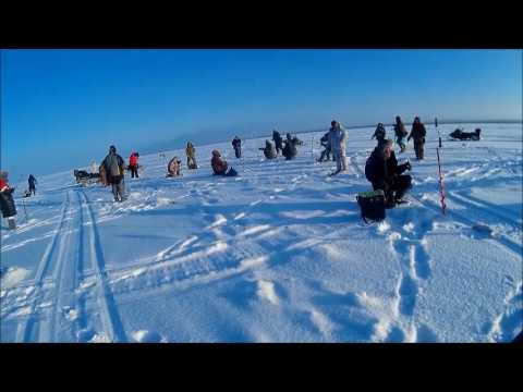 Ловля Судака на Каме